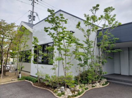 姫路市新社屋の植栽剪定