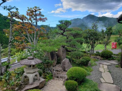 庭からの景色